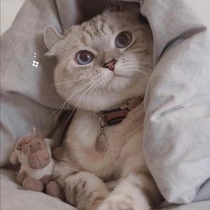 娇妻当我面被奸高潮的故事
